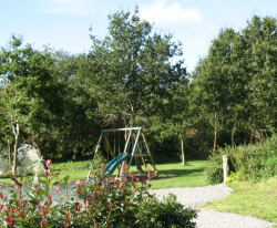 Swings area in the garden
